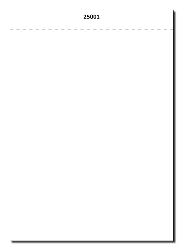 Show details for ICX-VAT Blank Ballots - 70# Numbered HART