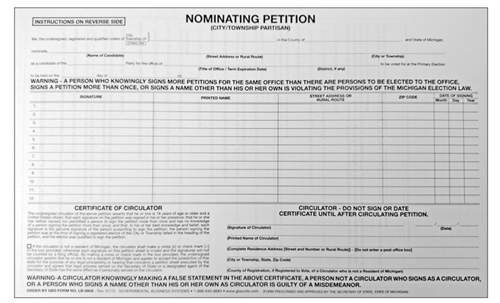 Show details for LB8804 Nominating Petition - City/Township Partisan